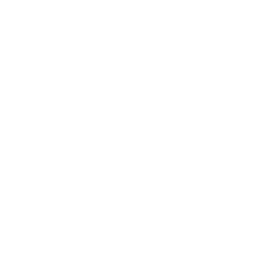 ikon